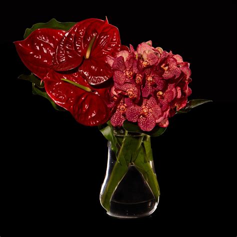 Luxury Floral Arrangements & Bouquets: Orchids | Bloom Flowers