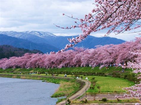 Kakunodate in Akita Prefecture | Japan countryside, Japan places to ...