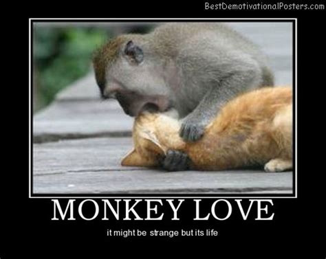 Monkey Love Quotes. QuotesGram