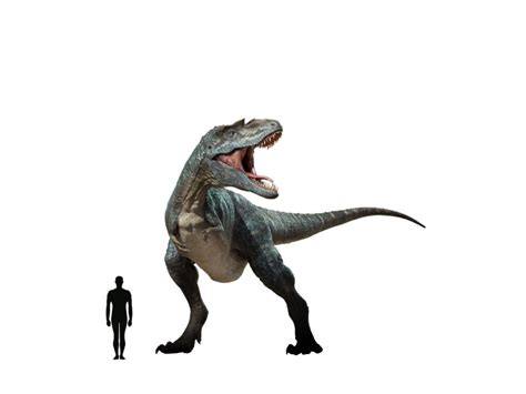 Image - Gorgosaurus size.jpeg | Dinopedia | FANDOM powered by Wikia