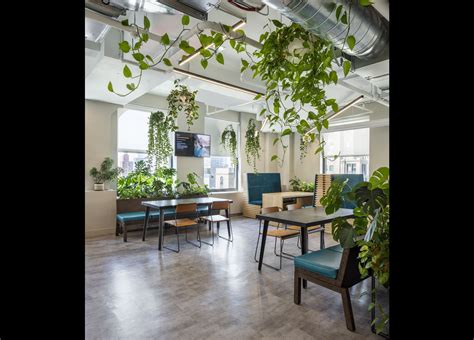 Office Plants - Greenery NYC | A Botanic Design Company