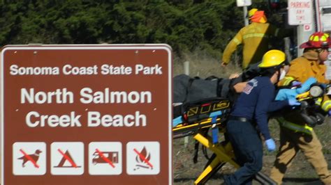 Surfer severely injured in shark attack off Sonoma County coast, beach ...