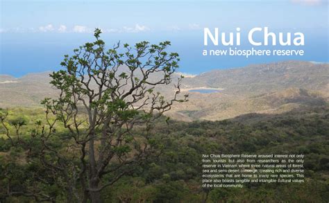 Nui Chua National Park - How To Explore Wild & Nature In 2023 | WANEE ...