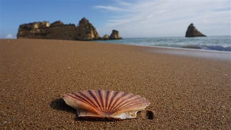 The Best Beaches Near Faro, Portugal - Faro Beach Vacations