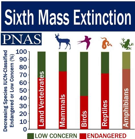 Sixth mass extinction currently underway say scientists - Market ...