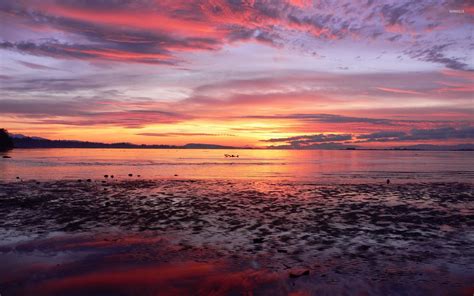 Purple sunset reflecting in the water wallpaper - Nature wallpapers ...