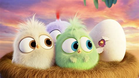 The Adorable Hatchlings From THE ANGRY BIRDS MOVIE Wish You A Happy ...