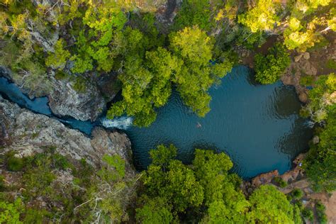 Chase A Handful Of Waterfalls - | Sunshine Coast Hinterland