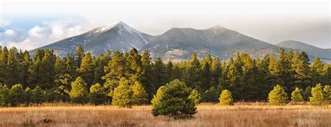 Flagstaff, AZ - Local & Visitor Guide to the Best of Flagstaff