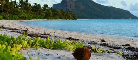 Visit Beautiful Maupiti French Polynesia - Beach Travel Destinations