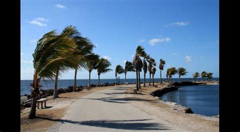 Matheson Hammock Park & Beach | South Florida Finds