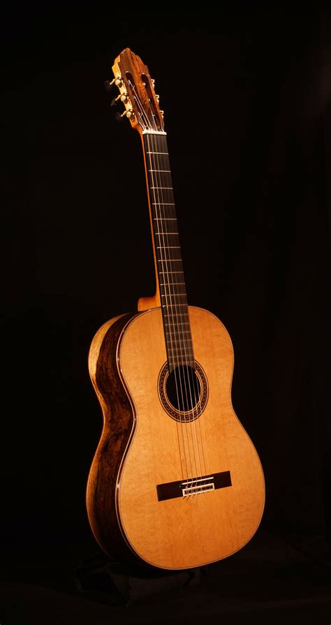 Brazilian Rosewood and Cedar Guitar - 2015 - "The Piebald Guitar ...