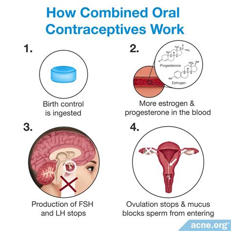 How Birth Control Pills Work