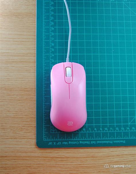 Zowie S1 & S2 Divina Review - Another Amazing Shape From Zowie