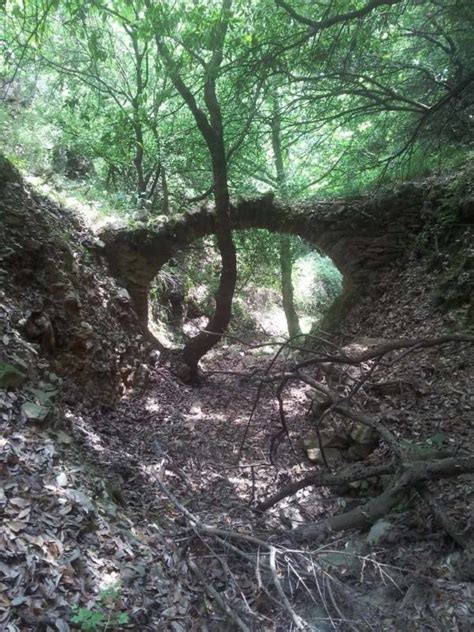 Skopelos Hiking, Skopelos Trekking, Skopelos walks. SKOPELOS.COM