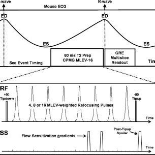 T2-weighted CMR pulse sequence design. For T2 preparation, a ...