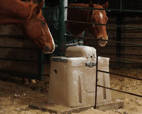 As Temperatures Fall, Your Horse's Water Needs To Rise | Ritchie ...