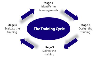 Mourne Training Services: The training cycle explained