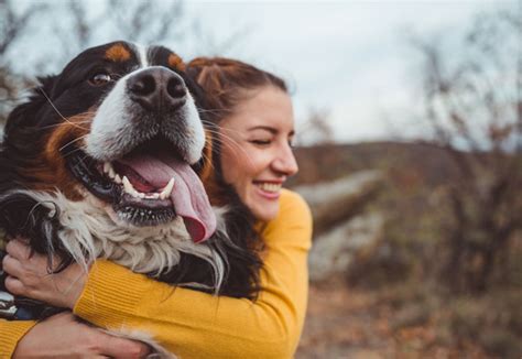 Can Dogs Smile? | Healthy Paws Pet Insurance