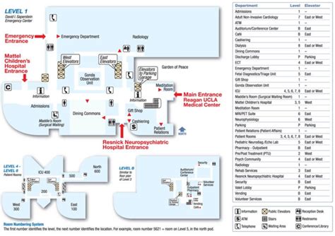 Ronald Reagan UCLA Medical Center | Semel Institute for Neuroscience ...