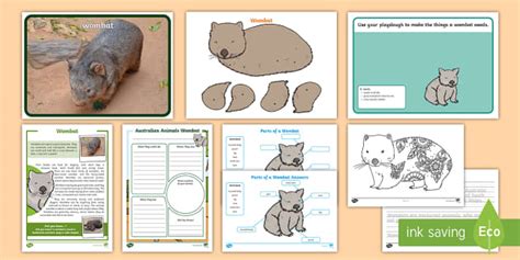 Australian Wombat Resource Pack | Wombat Craft Activity