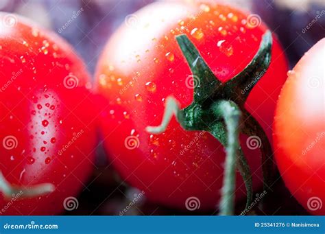 Ripe tomato stock photo. Image of food, shiny, biology - 25341276