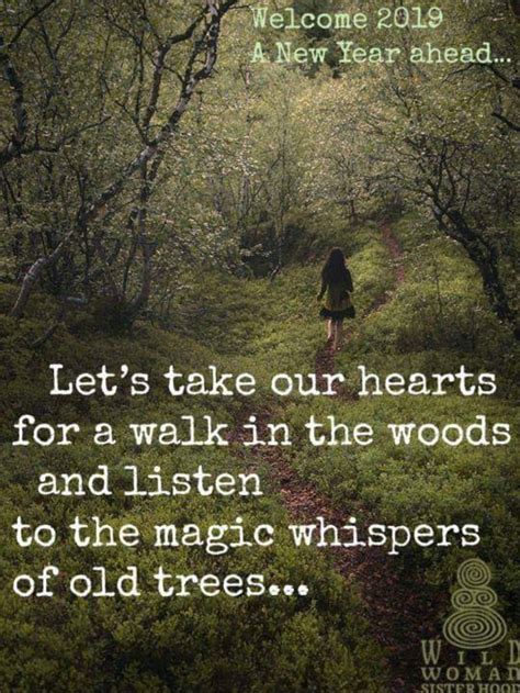 Pin by laurie laurie on Nature is my holy place | Nature quotes, Into the woods quotes, Forest ...