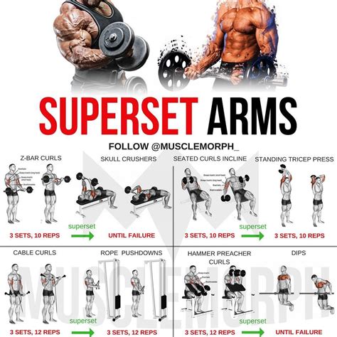 MuscleMorph® | Morph Into Greatness on Instagram: "Want BIGGER Arms? Try this workout 👆🏻LIKE ...