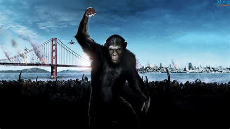 Dawn of the Planet of the Apes (2014) | Movie HD Wallpapers