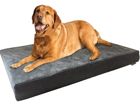 Top 10 Best Orthopedic Dog Beds Reviews in 2021