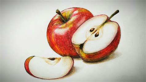 How to draw realistic apple | How to draw Freehand drawing - YouTube