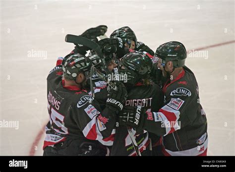 Cardiff devils players congratulating third hi-res stock photography ...