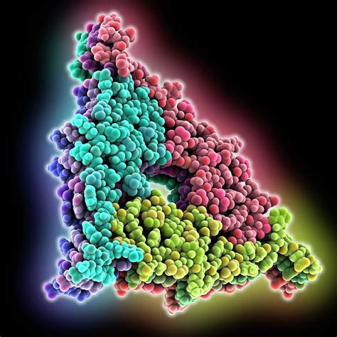 Amyloid Fibril Molecule Photograph by Laguna Design/science Photo ...