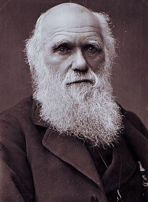 We must secure Charles Darwin's legacy – Shrewsbury's future lies in its past | Shropshire Star