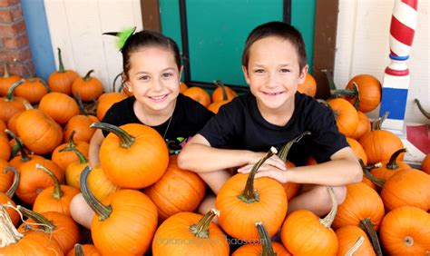 Irvine Park Railroad Pumpkin Patch Opens September 15th - Balancing The Chaos