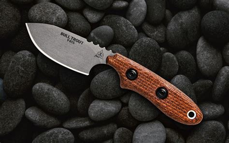 The 10 Best Fixed Blade Knives in 2020 | Everyday Carry