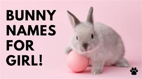 500+ Bunny Names For Your Pet Rabbit - Pet Rescue Blog