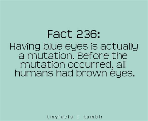 Quotes About People With Blue Eyes. QuotesGram