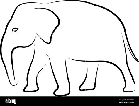 Elephant Line Drawing