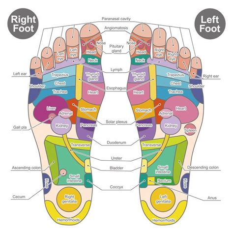 feet-points Shoulder Pain Relief, Neck And Shoulder Pain, Hand Pressure Points, Reiki ...