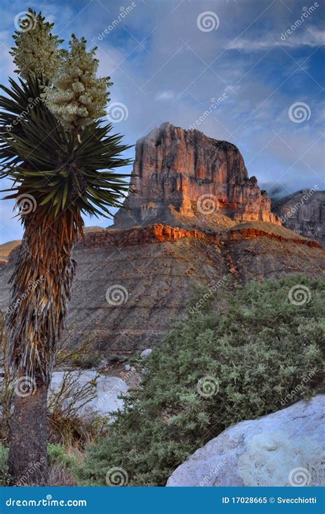 El Capitan at Sunrise stock image. Image of mountains - 17028665