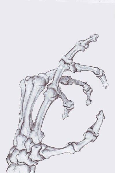 Hand Bones Skeleton Drawing