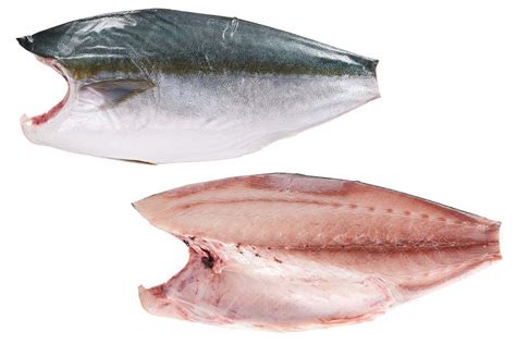 Hamachi fillet | Fish Fillets | Frozen Products | Kagerer & Co. GmbH