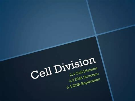 PPT - Cell Division PowerPoint Presentation, free download - ID:2834793