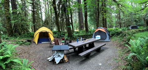 8 Best Camping Sites in Washington State To Visit in 2020