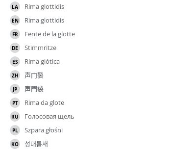 Rima glottidis - vet-Anatomy - IMAIOS