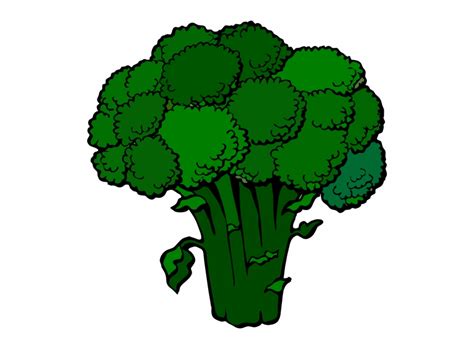 Broccoli clipart beef with pictures on Cliparts Pub 2020! 🔝