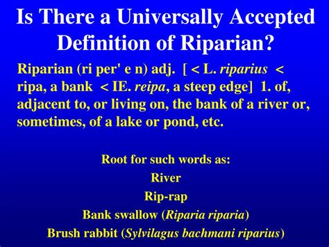 PPT - What are Riparian Areas? PowerPoint Presentation, free download ...