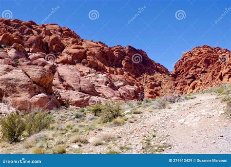 Calico Basin, Red Rock Conservation Area, Southern Nevada, USA Stock ...