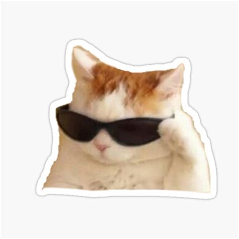 "Funny Cat With Sunglasses Meme" Sticker for Sale by gumdropxheartz | Redbubble